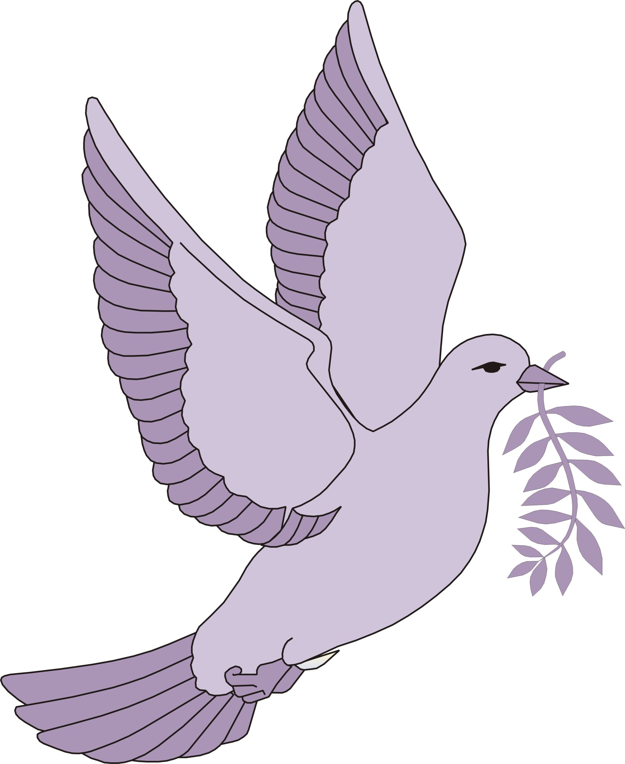 County Medicare Dove